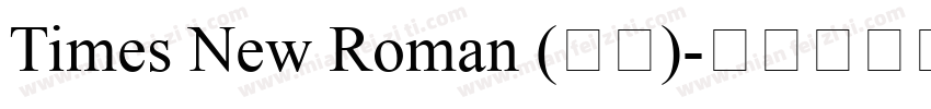 Times New Roman (正文)字体转换